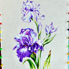 Работа «Ирисы»