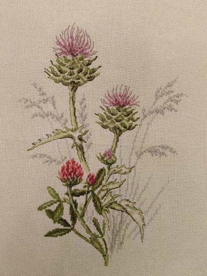 Работа «Нежный чертополох»