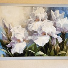 Работа «ИРИСЫ»
