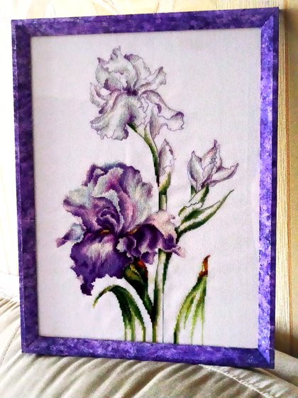 Работа «Luca-S B2251 - Ирисы, 24х38»