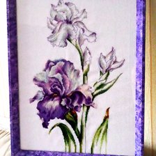 Работа «Luca-S B2251 - Ирисы, 24х38»