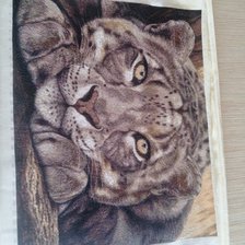 Работа «Снежный леопард»