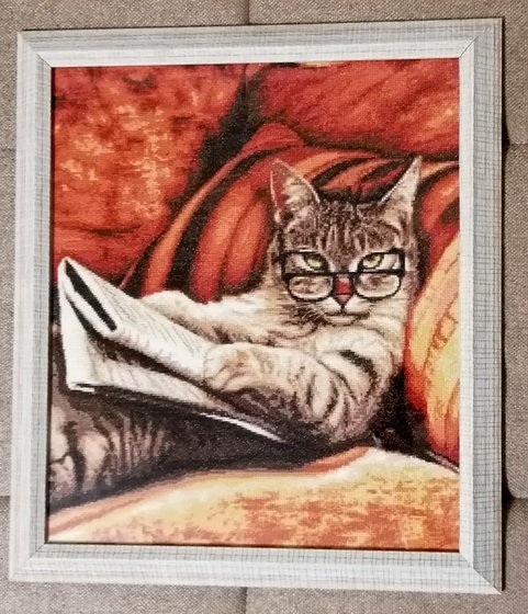 Работа «Кот, читающий газету.»