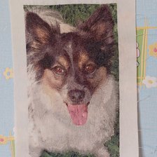 Работа «марта»