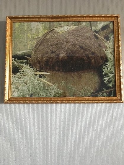 Работа «Боровичок»