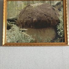 Работа «Боровичок»