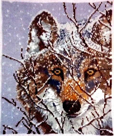 Работа «одинокий волк»