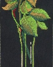 Работа «Роза»