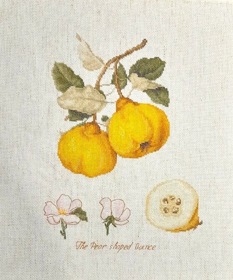 Работа «LUCA-S "Айва"»