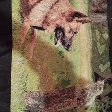 Работа «Собака и котёнок»