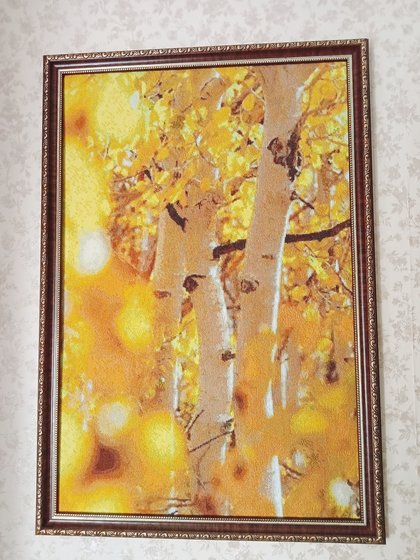 Работа «Солнечная осень»