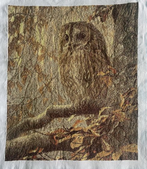 Работа «Сова»