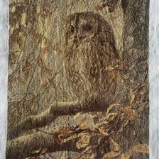 Работа «Сова»