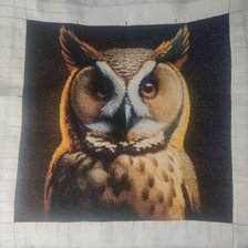 Работа «сова»