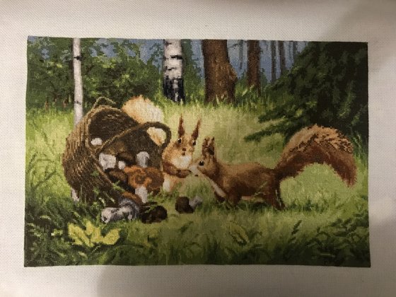 Работа «Белки, золотое руно»