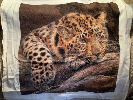 Работа «Лапочка))))»