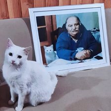 Работа «Jorge y su pelusa»