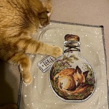 Работа «Спящий лисенок»