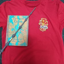 Работа «Герб Гриффиндора»