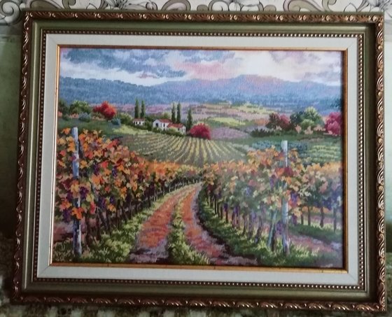 Работа «Виноградники Тосканы»