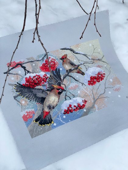 Работа «Прилетели свиристели, Риолис 2207»