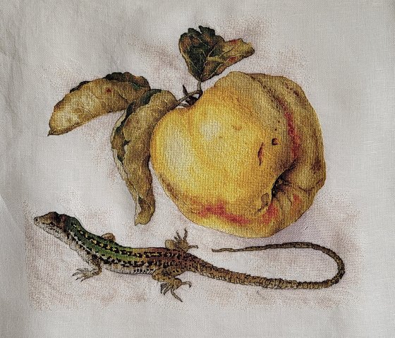 Работа «Айва Екатерины Волковой»