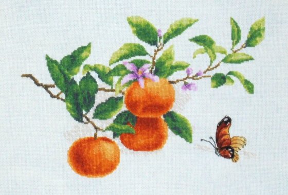 Работа «ветка мандарин»