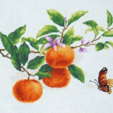 Работа «ветка мандарин»