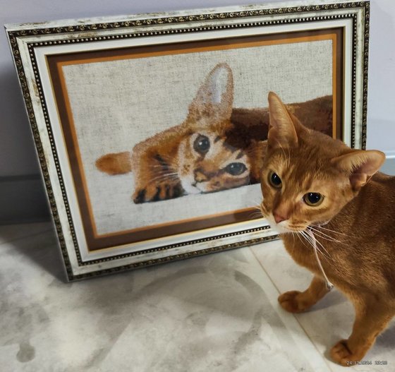 Работа «Абиссинская кошка»