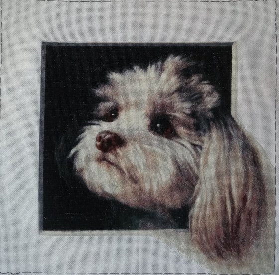 Работа «Болонка»