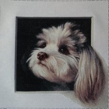 Работа «Болонка»