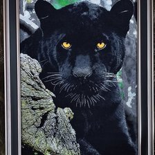 Работа «Пантера»