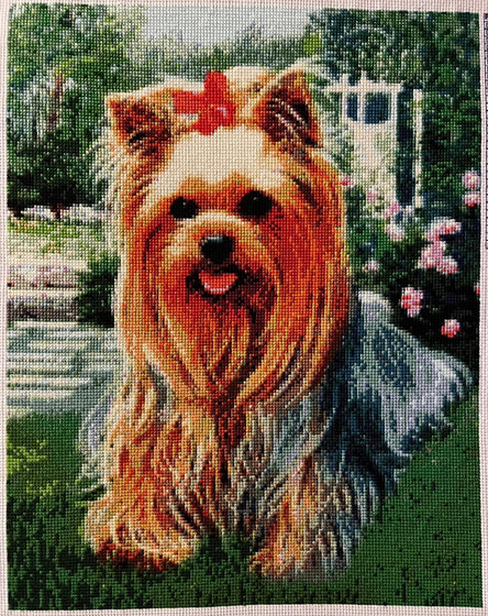 Работа «Йорк»