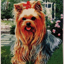 Работа «Йорк»