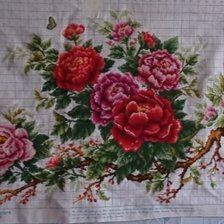 Работа «Пионы»