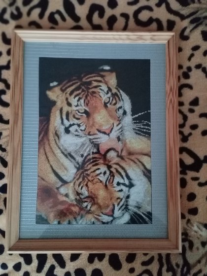 Работа «Тигры»