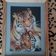 Работа «Тигры»