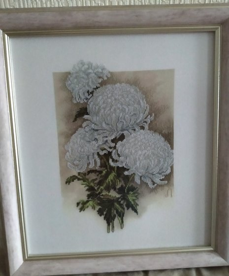 Работа «белые хризантемы»