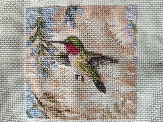 Работа «Колибри»