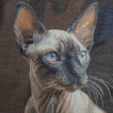 Работа «№100309»