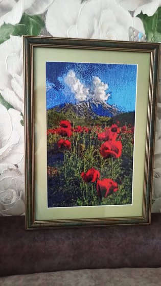 Работа «Маки»