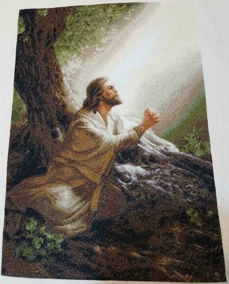 Работа «№100344»