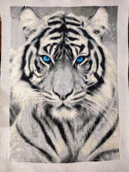 Работа «№100381»