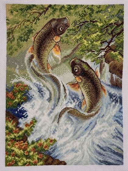 Работа «Прыгающие карпы»