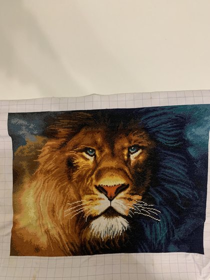 Работа «№100420»