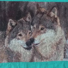 Работа «Волки»