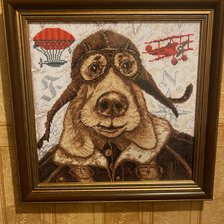 Работа «Пилот (панна) , в быту «дурилка полетел»»