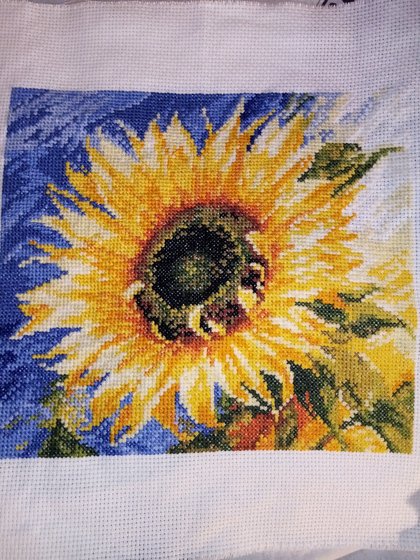 Работа «Посланник солнца»