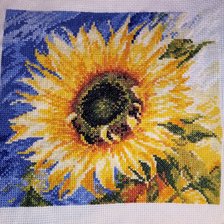 Работа «Посланник солнца»