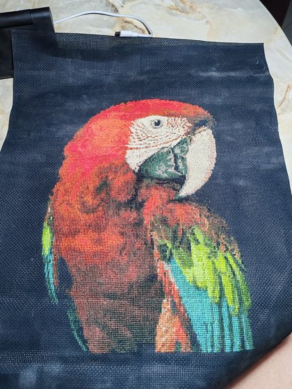 Работа «Попугай»